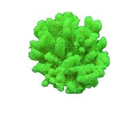 VIDOO Graines De Plantes Egrow 1000 Pcs Aquarium Poisson Réservoir Moss Fougère Aquatique Graines Paysage Décoration Herbe-Vert