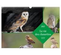 VIE CHOUETTES DAMES DE NUIT CALENDRIER M: PARTEZ A LA DECOUVERTE DES CHO