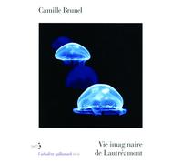 Vie imaginaire de Lautréamont