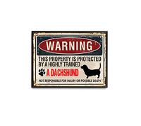 viemso Plaque en métal vintage avec cadre en métal noir « Warning Dachshund Marks The Dachshund owner's Property is Protected by The Teckel » - Décoration murale vintage pour maison, bar, boutique