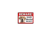 viemso Plaque en métal vintage en métal avec avertissement de sécurité Golden Retriever - Plaque en étain pour rue, garage, café, bar, ferme, salle de bain - 20,3 x 30,5 cm