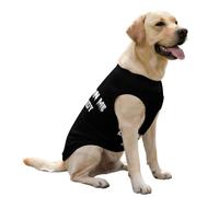 Viens sur Moi Papa Chien Gilet rafraîchissant Chemises d'été Pull Mignon vêtements pour Animaux de Compagnie pour Grand Chiot