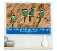 Vier farbenprächtige Vögel in Europa (hochwertiger Premium Wandkalender 2027 DIN A2 quer), Kunstdruck in Hochglanz: Vier außergewöhnliche Vögel Europas.