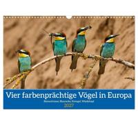 Vier farbenprächtige Vögel in Europa (Wandkalender 2027 DIN A3 quer), CALVENDO Monatskalender: Vier außergewöhnliche Vögel Europas.