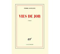 Vies de Job Pierre Assouline (Auteur)