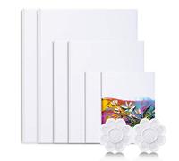 Viesap Toile Peinture, 6PCS Canvas Toile Peinture, Cadre Toile Peinture 30*40,20*30,15*20, 100% Pur Coton Toile Peinture Acrylique,Toile à Peindre Canvas Peinture Art Blank Canvas Toiles à Peindre Lot