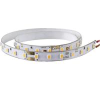 Viessmann Modelltechnik 5089 Bandeau LED éclairage de la ville avec fils de raccordement 1 pc(s)