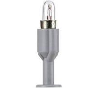 Viessmann Modelltechnik 6832 Ampoule spéciale clair E5.5 Clair G