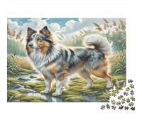 Vieux Berger Polonais Papier Lourd Berger Australien près du ruisseau dans Champ herbeux Puzzle Cadeau d’Anniversaire idéal 52x38cm/1000 pièces