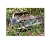 Vieux véhicules, la Rouille Les ronge et Ils sont progressivement repris par la Nature，1000 Pièces Puzzles - Jeux Éducatifs Jouets Joli Cadeau Assemblage Puzzles pour Adultes（50x70cm）-AD25