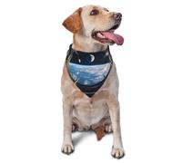 View The Sci-Fi Planet From The Space Station Écharpe triangulaire pour chiens et chats, bandana réglable pour animaux de compagnie et séances photo