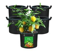 VIEWALL Lot de 5 Sacs de Plantation de 11 l avec poignée et œillets en métal, Pots en Tissu pour dans Une Tente de Culture, Sacs de Plantation réutilisables, pour la Culture de tomates