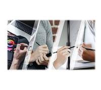 ViewSonic ACP501 - Stylet actif - USB-C - pour ViewSonic IFP8670, TD2455; ViewBoard IFP4320, IFP6562, IFP6570, IFP7562, IFP8662, IFP8670