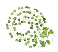 Vigne Artificielle Lot de 1, 5, 12 ou 24 guirlandes lierre artificiel à suspendre, fausses fleurs feuillage, for la maison, cuisine, le jardin, bureau, un mariage, décoration murale(Color 3,5pcs)