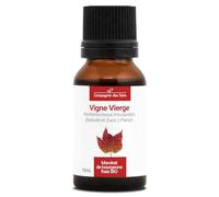 Vigne Vierge BIO - 15mL - (Parthenocissus Tricuspidata) - Macérat concentré de bourgeons frais