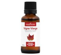 Vigne Vierge BIO - 30mL - (Parthenocissus Tricuspidata) - Macérat concentré de bourgeons frais
