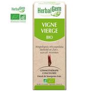 Vigne Vierge Bourgeon Bio - Articulations Et Tendons 50 Ml - Herbalgem