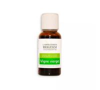 Vigne Vierge Bourgeon Macérât Bio Biogemm 30 Ml