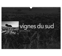 VIGNES DU SUD terroirs d'AOC (Calendrier mural 2026 DIN A3 horizontal), CALVENDO calendrier mensuel
