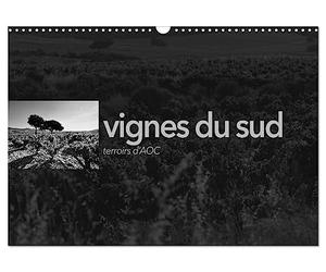 VIGNES DU SUD terroirs d'AOC (Calendrier mural 2027 DIN A3 vertical), CALVENDO calendrier mensuel: Paysages des terroirs viticoles AOC du sud de la France