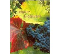 Vignes et oliviers