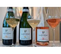 Vignoble et Triple Dégustation Premier Cru en Montagne de Reims