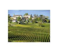 Vignobles de Saint-Émilion, Bordeaux, France，Jigsaw Puzzle 1000 Pièces Puzzle Classique pour Adultes Et Enfants, Compétence Jouets Éducatifs Anniversaire Festival Cadeau（75x50cm）-N40