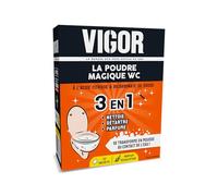 Vigor | La Poudre Magique WC | 3 en 1 Nettoie en profondeur, Détartre et Parfume | Mousse Active | Formule à l'acide citrique et au Bicarbonate de Soude | Parfum Eucalyptus | 3 x 100g