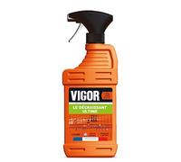 VIGOR Spray Nettoyant Cuisine Le Dégraissant Ultime - 650 ml - Élimine efficacement les résidus tenaces sur plaques, plans de travail, portes, éviers, carreaux et sols - Fabriqué en France