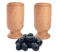 Vijaysar Verre à base de plantes ayurvadic Jamun en bois pour contrôler le diabète et le sucre Khadi Channapatna Jamun Tree en bois ayurvédique - Lot de 1 pièce fabriqué en Inde (taille M, 1) par