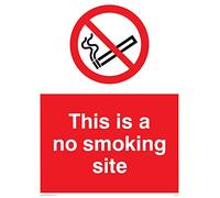 Viking Signs Pc537-a1p-1 m "Il s'agit d'un Site d'interdiction de fumer" Sign, 1 mm Semi Rigide Plastique, 800 mm H x 600 mm L