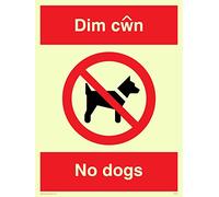 Viking Signs Pv916-a5p-pv "Dim Cwn Chiens" interdit, autocollant, 200 mm Photoluminescent H x 150 mm L