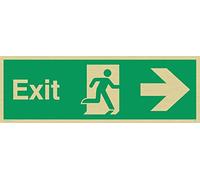 Viking Signs Sb443-l31-gv "Exit" Sign, Right Arrow, Doré en vinyle, H 100 mm x 300 mm L