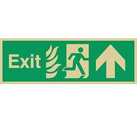 Viking Signs Sg689-l31-g Fire "Exit" Sign, face à droite à flèche, rigide Plastique Doré, H 100 mm x 300 mm L