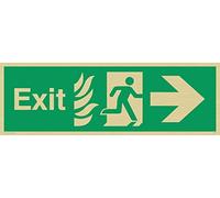 Viking Signs Sg690-l31-g Fire "Exit" Sign, Right Arrow, rigide Plastique Doré, H 100 mm x 300 mm L