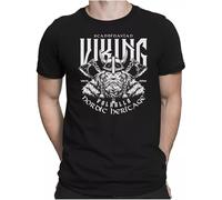 Viking Warrior Mens Fun T-Shirt S to 4XL Odin Valhalla Vikings