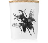 Vila Hermanos Insect Lucanus Cervus bougie parfumée 75 g