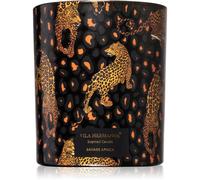 Vila Hermanos Jungletopia Savage Africa bougie parfumée 200 g