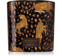Vila Hermanos Jungletopia Savage Africa bougie parfumée 620 g