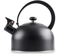 VILDE Bouilloire Classique Acier Inox 2 L - Sifflet inclinable, compatible tous feux dont induction, design élégant