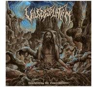 Vile Desolation - Annihilating The Consciousness [Compact Discs]