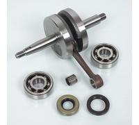 Vilebrequin d embiellage Top performances pour Moto Minarelli 50 AM6 IM07062 avec roulement et spi Neuf