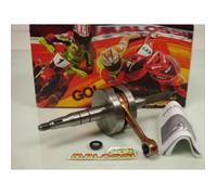 Vilebrequin embiellage Malossi pour scooter MBK 50 Next Génération 53 7621 axe Ã˜10mm