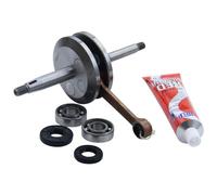 Vilebrequin + palier + bague d'étanchéité + mastic Hercules Prima M 2 3 4 5 Optima Jogging Sachs 505 Moteur