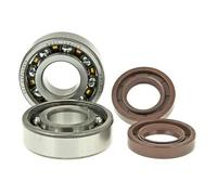 Vilebrequin roulement STAGE6 Haute Qualité, avec Haute qualité Vague bagues d'étanchéité pour Derbi Senda, polymère Cage (SKF 6204/TN9 C3) (Off