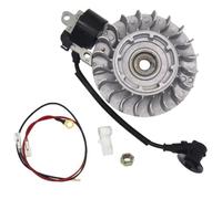 Vilgftyiet 1122 400 1217 Kit de bobine de volant d'inertie pour tronçonneuse électrique MS660 066, compatible avec les modèles STIHL MS 660 066, construction en acier pour une performance d'allumage