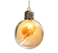Vilgftyiet Boule de Noël lumineuse à LED transparente pour sapin de Noël | Illuminez votre sapin de Noël avec une lueur douce pour créer une atmosphère festive chaleureuse pendant les fêtes de fin