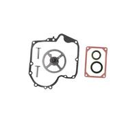 Vilgftyiet Kit de joints d'arbre à cames pour 793880 697110 795387 793583 792681 791942 795102, compatible avec 210702 212702 215707 31B700 21A800 7444 33 74 573 modèles, acier inoxydable, 1 jeu