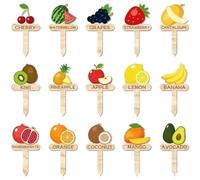 Vilgftyiet Lot de 15 étiquettes en bois de type T pour plantes de jardin avec noms pour marqueurs de légumes et de fruits