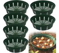 Vilgftyiet Lot de 6 paniers en plastique pour bulbes de fleurs, plateaux de démarrage de semences avec design ajouré, 26 x 22 x 6,5 cm, récipients de culture ronds et rectangulaires pour plantes de